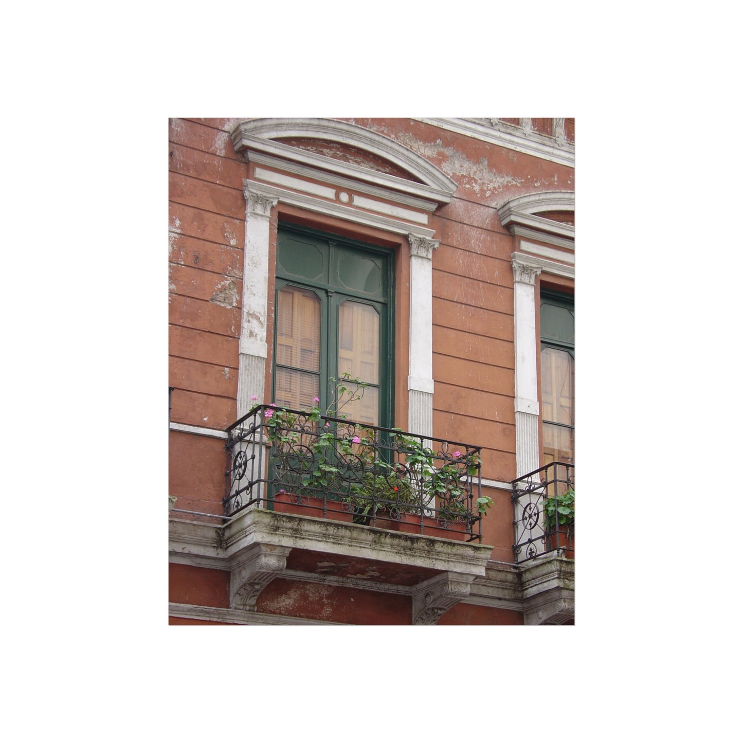 Terracotta Balcony with Flowers — Buenos Aires Fine Art Poster | "Argentinidad" Exhibition | Rômulo Fritscher